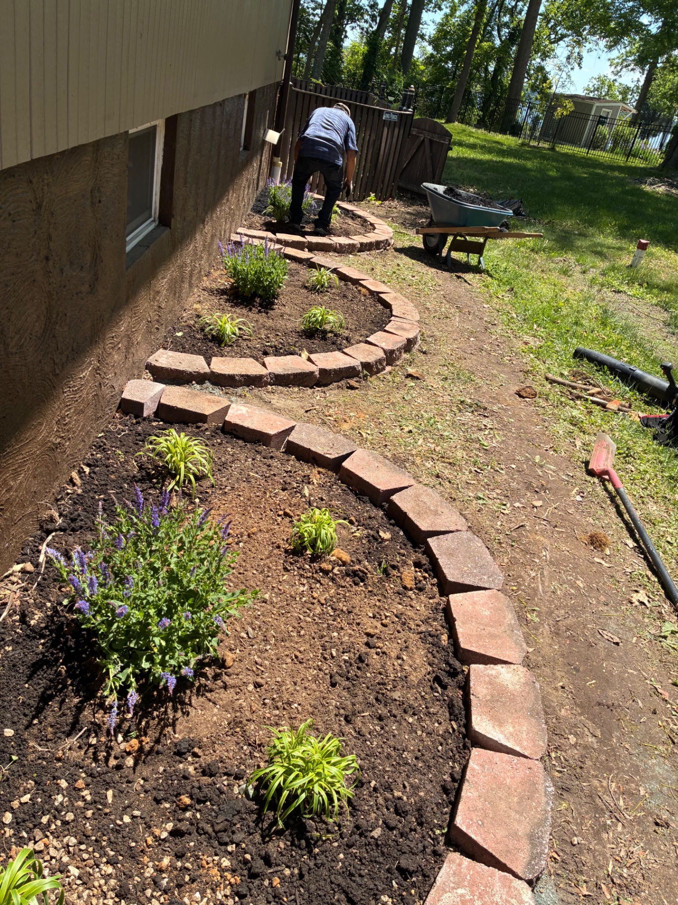 Curved brick-edged planting bed with new perennials